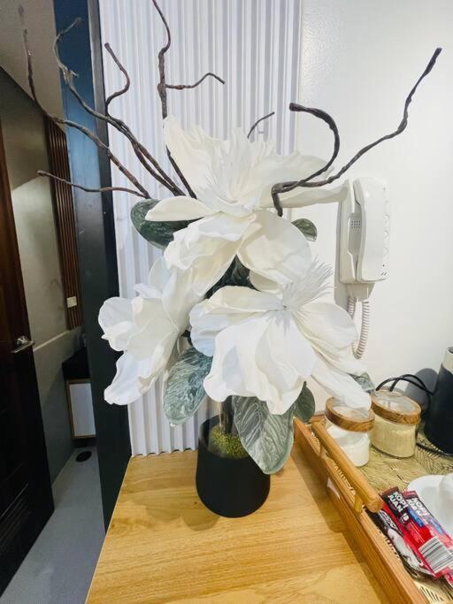 Marias Suite Near Manila Bay Free Use Of Pool 외부 사진